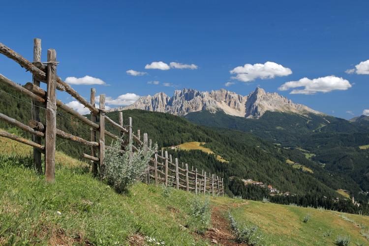 The mountain range of Latemar in the South Tirolean Dolomites