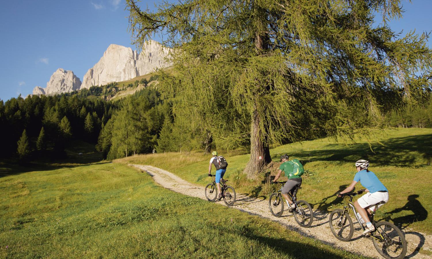 Mountain biking with a panoramic view over the Rosengarten